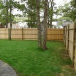 Privacy Fence